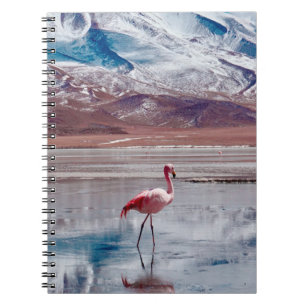 Flamingos in Lagoon in Salt Flats, Bolivia. Salar Notebook