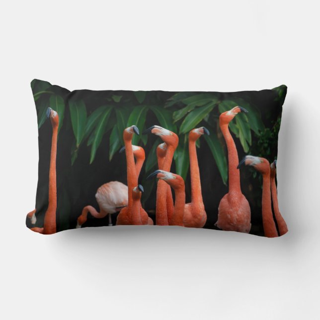 Flamingos in Paradise throw Lumbar Cushion (Front)