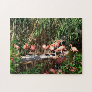 Flamingos Jig Saw Puzzle