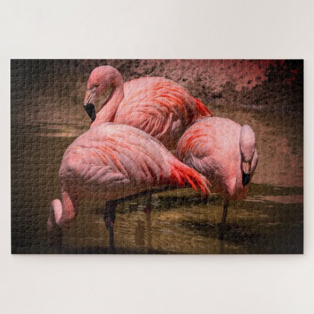 Flamingos Jigsaw Puzzle (Horizontal)