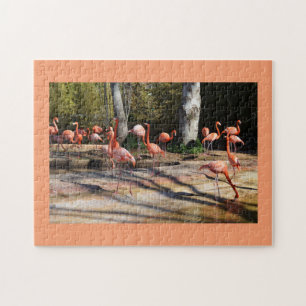Flamingos Jigsaw Puzzle