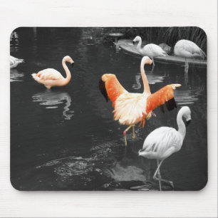 Flamingos Mouse Pad