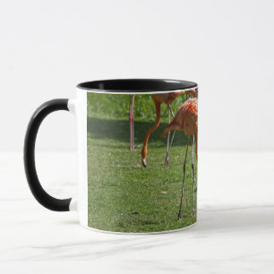Flamingos Mug