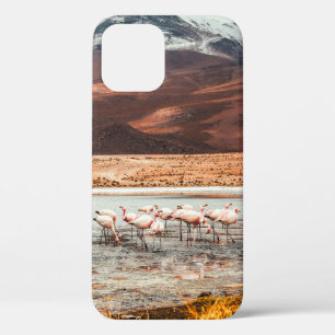 FLAMINGOS ON BODY OF WATER iPhone 12 CASE