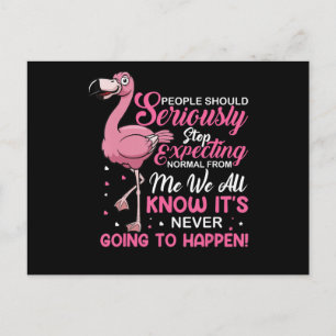 Flamingos   People Should Stop Expecting Normal Announcement Postcard
