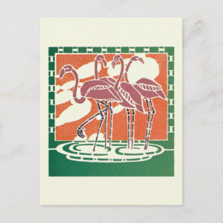 Flamingos Postcard