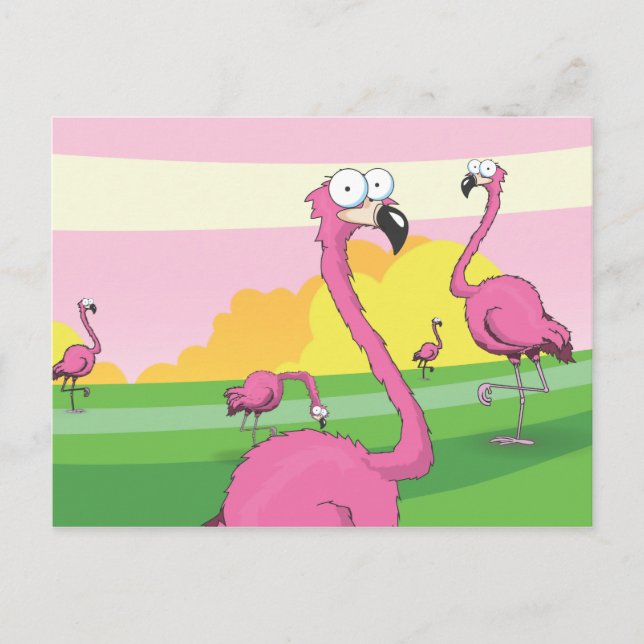 flamingos postcard (Front)