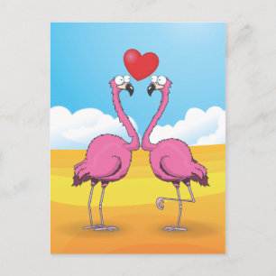 flamingos postcard