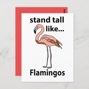 Flamingos Stand Tall Like Flamingos Flamingo Postcard