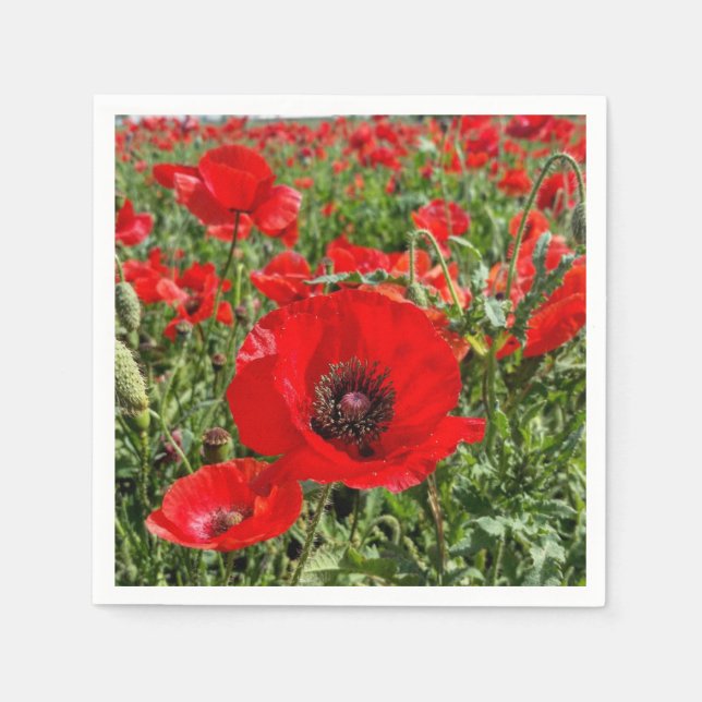Flanders Poppy Napkins (Front)