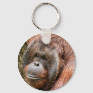 Flanged male orangutan key ring