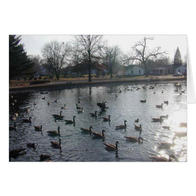 Flapping Goose card (Front Horizontal)