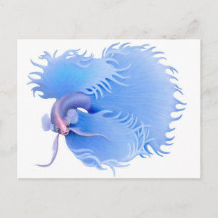 Flaring Betta Splendens Postcard