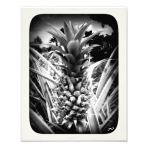 Flash Of Inspiration Photo Print