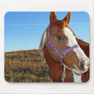 Flashy in Nebraka Mouse Pad