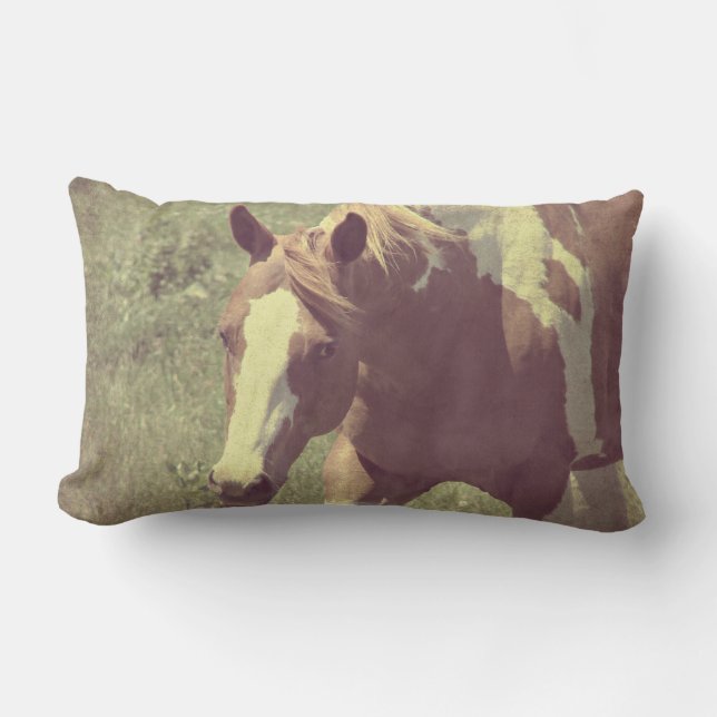 Flashy Lumbar Cushion (Front)