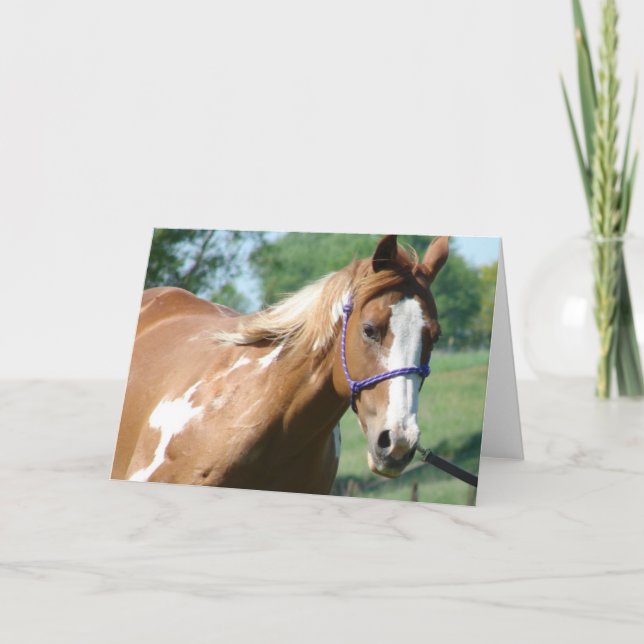 Flashy on the Lungeline Card (Front)