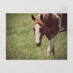 Flashy Postcard