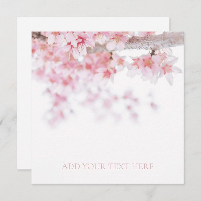 FLAT CARD : CHERRY BLOSSOM (Front/Back)