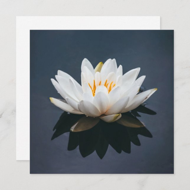 FLAT CARD :  LOTUS (Front/Back)