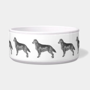 Flat Coated Retriever