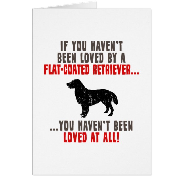 Flat-Coated Retriever (Front)