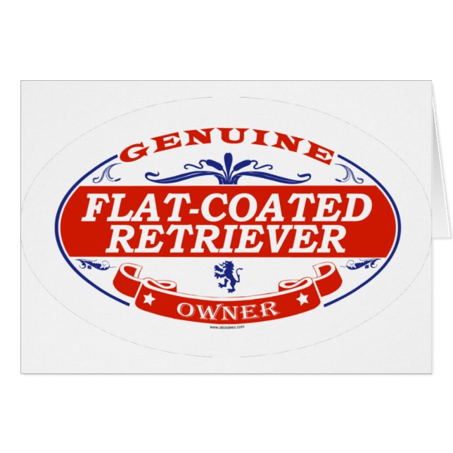 Flat-Coated Retriever (Front Horizontal)