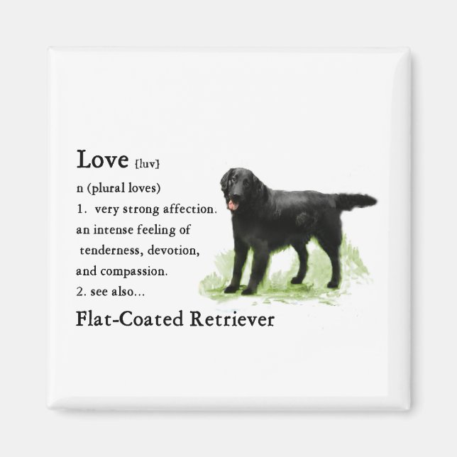 Flat-Coated Retriever Art Print Magnet (Front)
