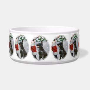 Flat-Coated Retriever Christmas 