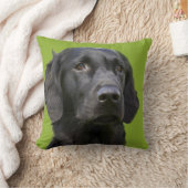 Flat Coated Retriever dog, black beautiful photo Cushion (Blanket)