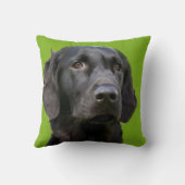 Flat Coated Retriever dog, black beautiful photo Cushion (Back)