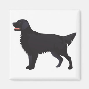 Flat-Coated Retriever Dog Breed Illustration Magnet