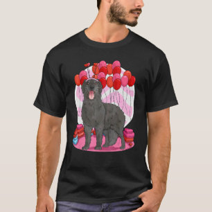 Flat Coated Retriever Heart Valentine Day Dog T-Shirt