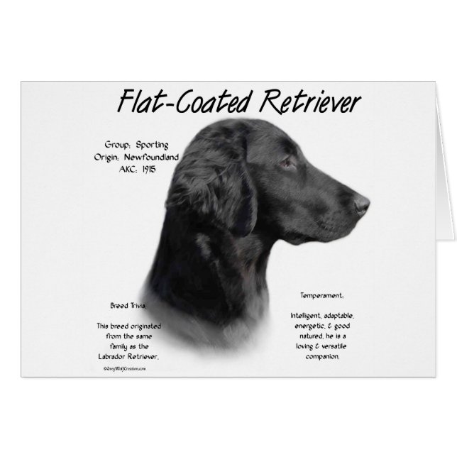 Flat-Coated Retriever History Design (Front Horizontal)