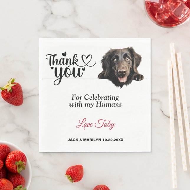 Flat Coated Retriever Paper Napkins (Insitu)