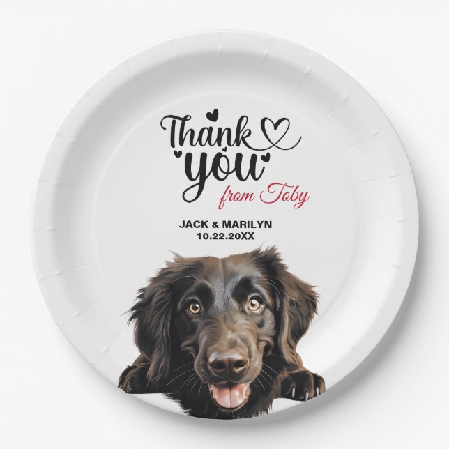 Flat Coated Retriever Paper Plate (Front)