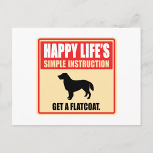 Flat-Coated Retriever Postcard