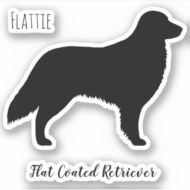 Flat Coated Retriever Silhouette Flattie Dog (Front)