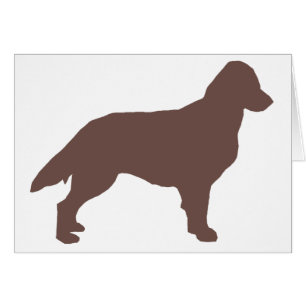 Flat-Coated Retriever silo colour.png