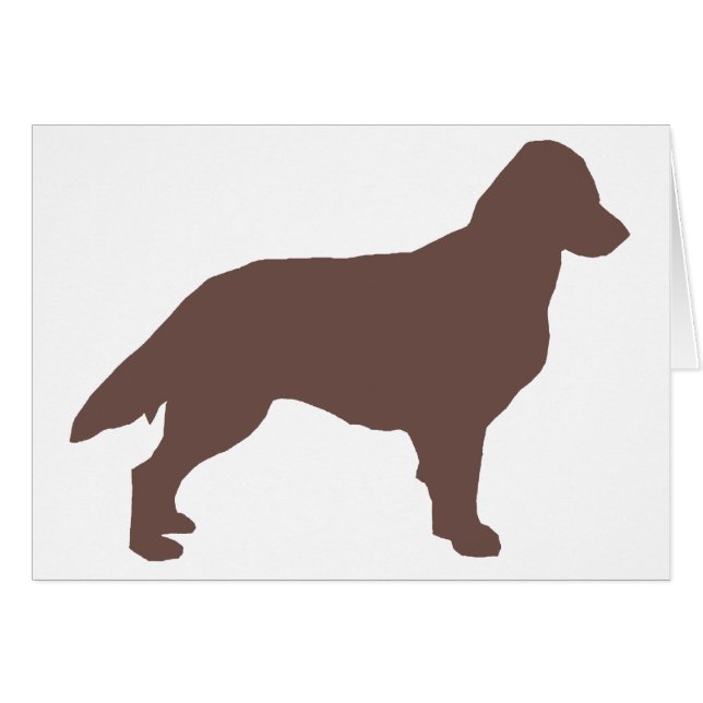 Flat-Coated Retriever silo colour.png (Front Horizontal)