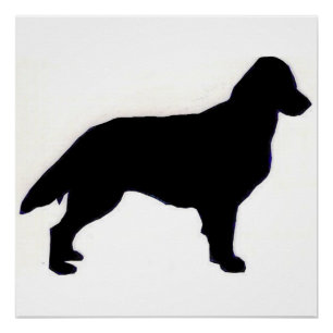 Flat-Coated Retriever silo Poster