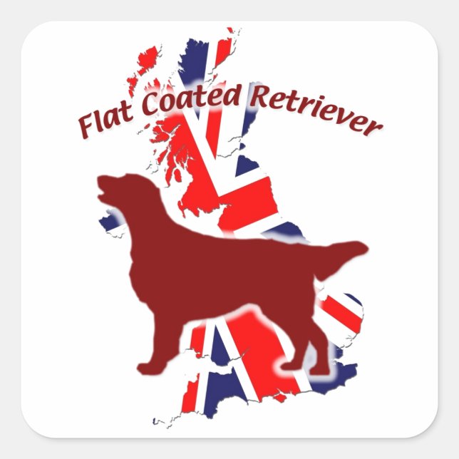 Flat Coated Retriever Square Sticker (Front)