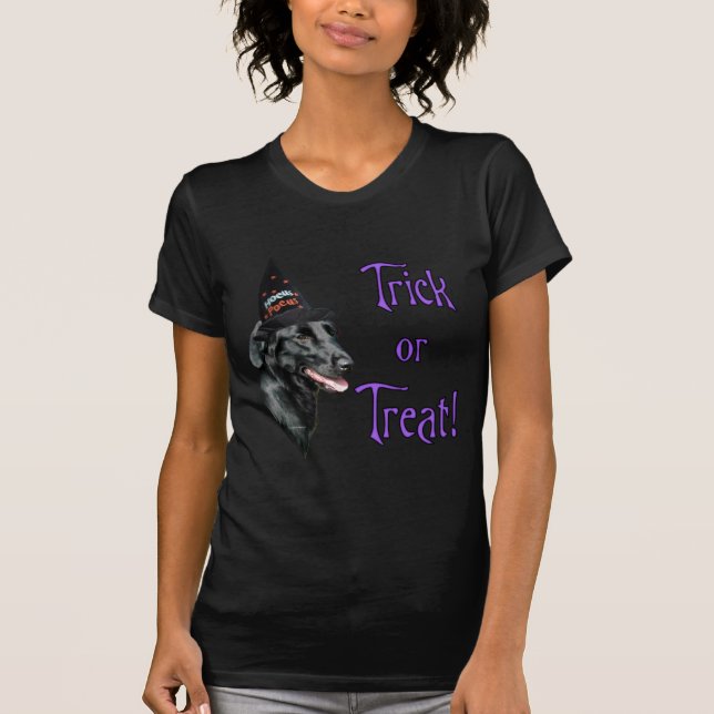 Flat-Coated Retriever Trick T-Shirt (Front)