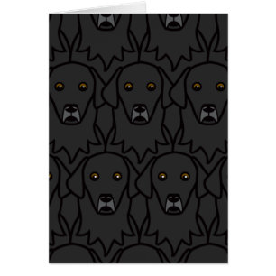 Flat-Coated Retrievers