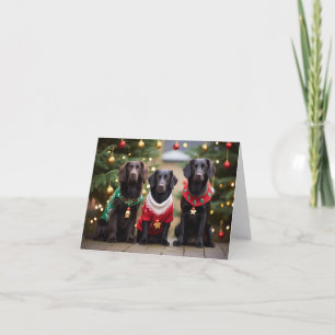 Flat Coated Retrievers Christmas Card