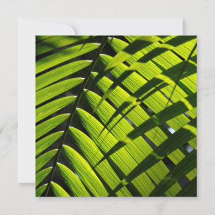 Flat Greeting Card featuring green palm leaves