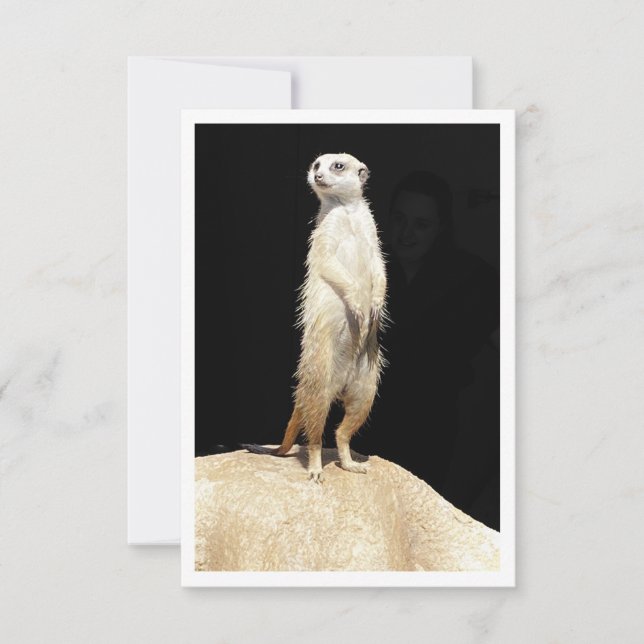 Flat Greeting Card - Meerkat Love (Front)