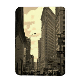 Flat Iron Building Magnet