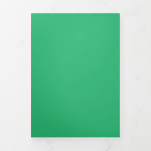 Flat Mint Green Background – Wedding Design Tri-Fold Card