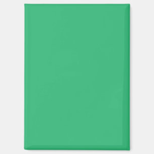 Flat Mint Green Texture Background for Design Magnet